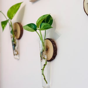 Propagation Wall Hanging, Propagating Glass Vase, Propagation Station, Handcrafted Plant Decor, Wall Bud Vase, Test Tube, Mounted Planter