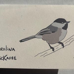 Carolina Chickadee, Observação de pássaros, Observadores de pássaros, Pássaro, Cartão de felicitações, Em branco, Feito em casa