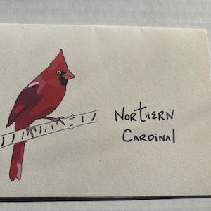 Northern Cardinal, Bird, Blank Card, Greeting Card, Homemade