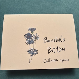 Botón de soltero, flores, tarjeta de felicitación, en blanco, hecho en casa, ¡vaya!