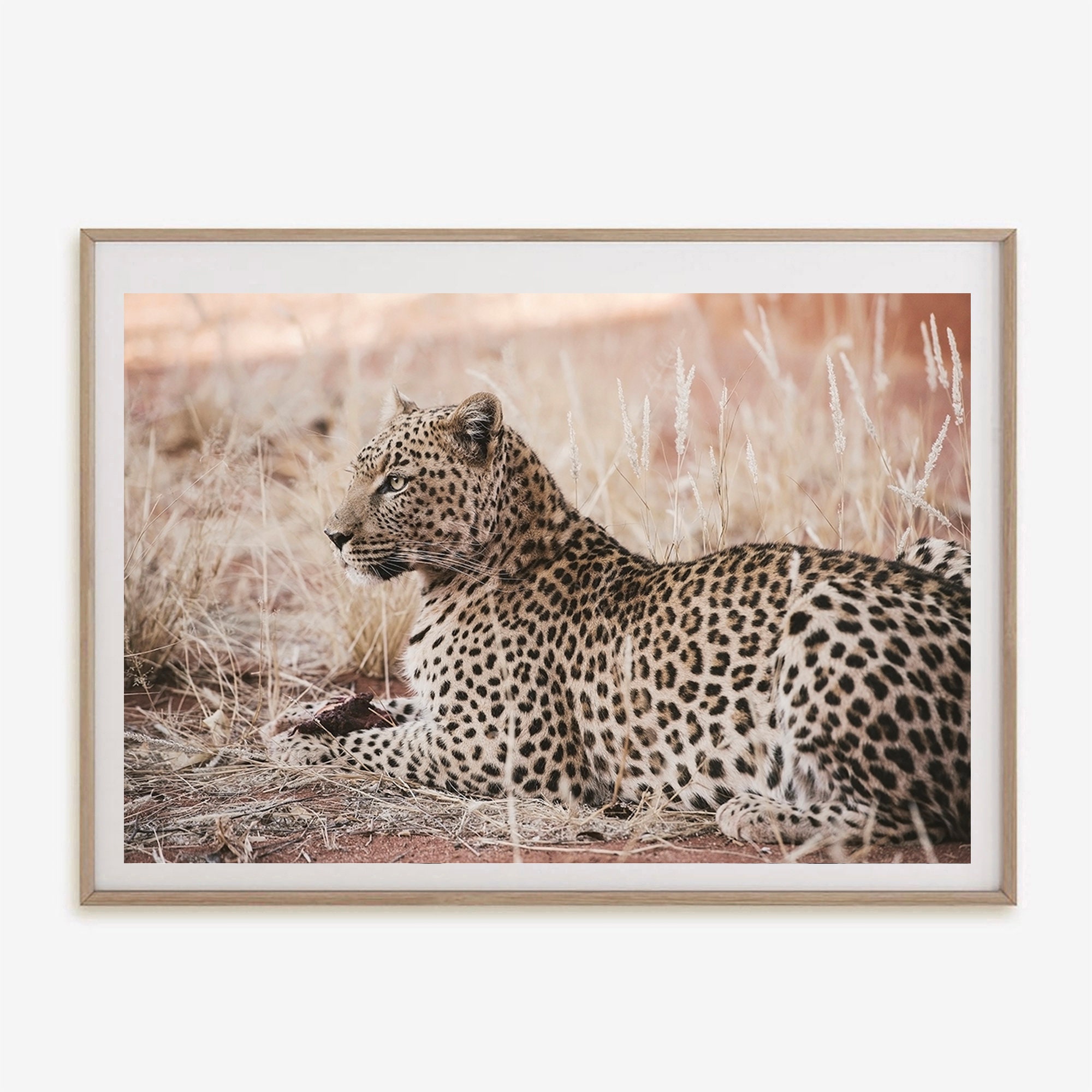 Digital Prints Prints African Wildlife Wall Art Leopard Poster Premium ...