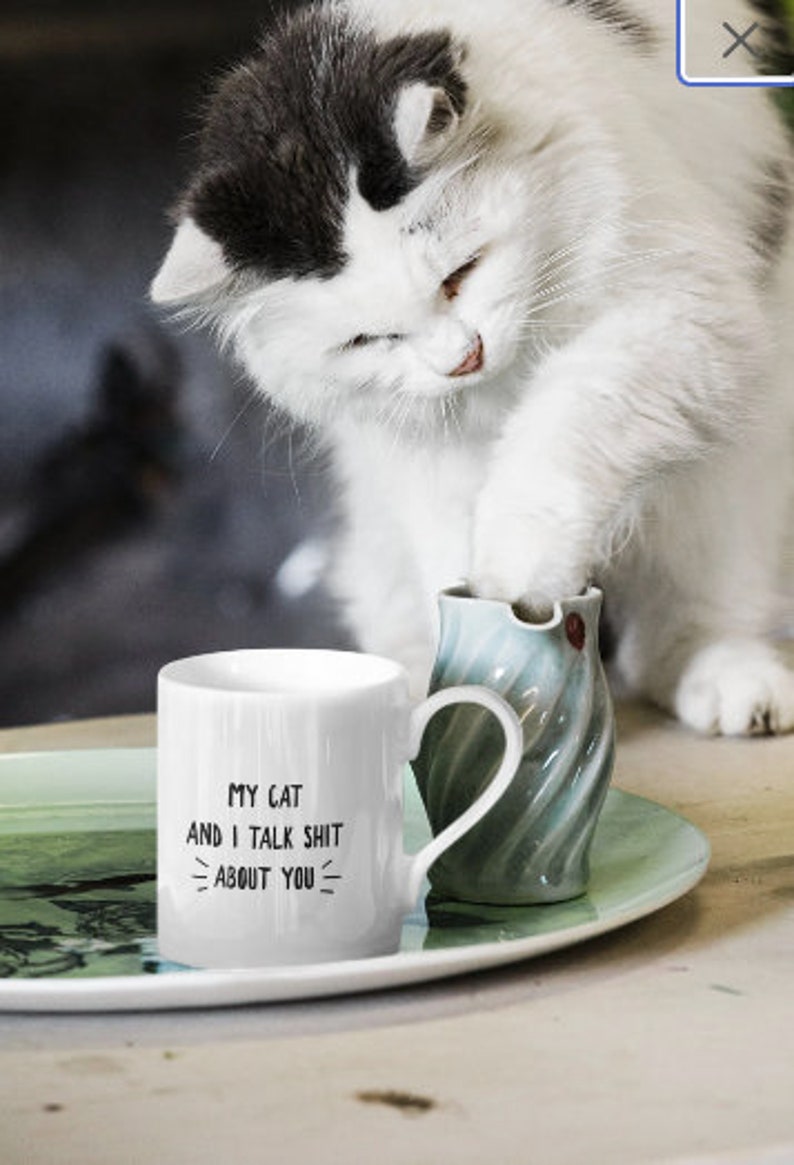 My Cat and I Talk Shit About You Funny Cat Lover Coffee Mug, Sarcastic Cat Gift for Him Her, Christmas Gift for Cat Fans, Funny Cat Present image 4