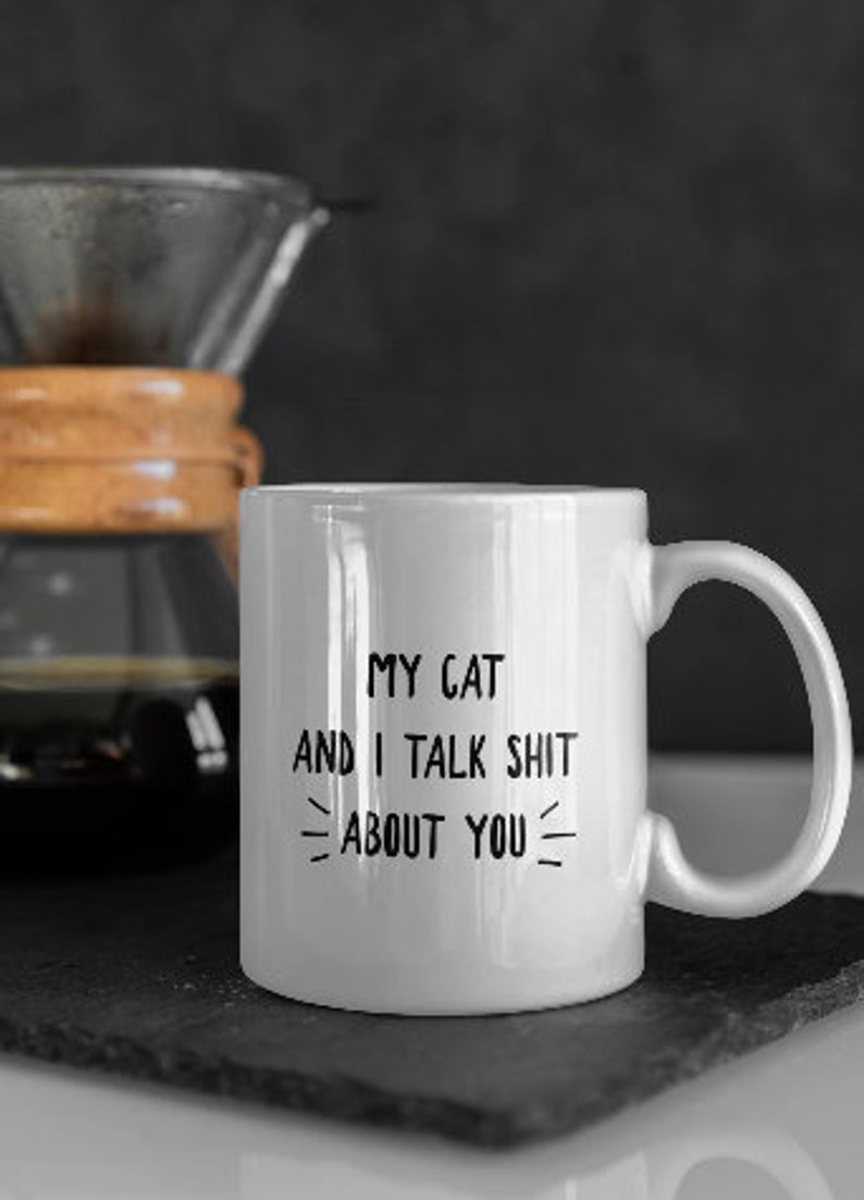 My Cat and I Talk Shit About You Funny Cat Lover Coffee Mug, Sarcastic Cat Gift for Him Her, Christmas Gift for Cat Fans, Funny Cat Present image 3