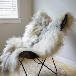 Pu&ograve; includere: Una sedia a farfalla con struttura in metallo nero e seduta in pelle scura, drappeggiata con un tappeto in pelle di pecora a pelo lungo color bianco sporco e grigio che copre lo schienale e la seduta, creando un aspetto morbido e materico.