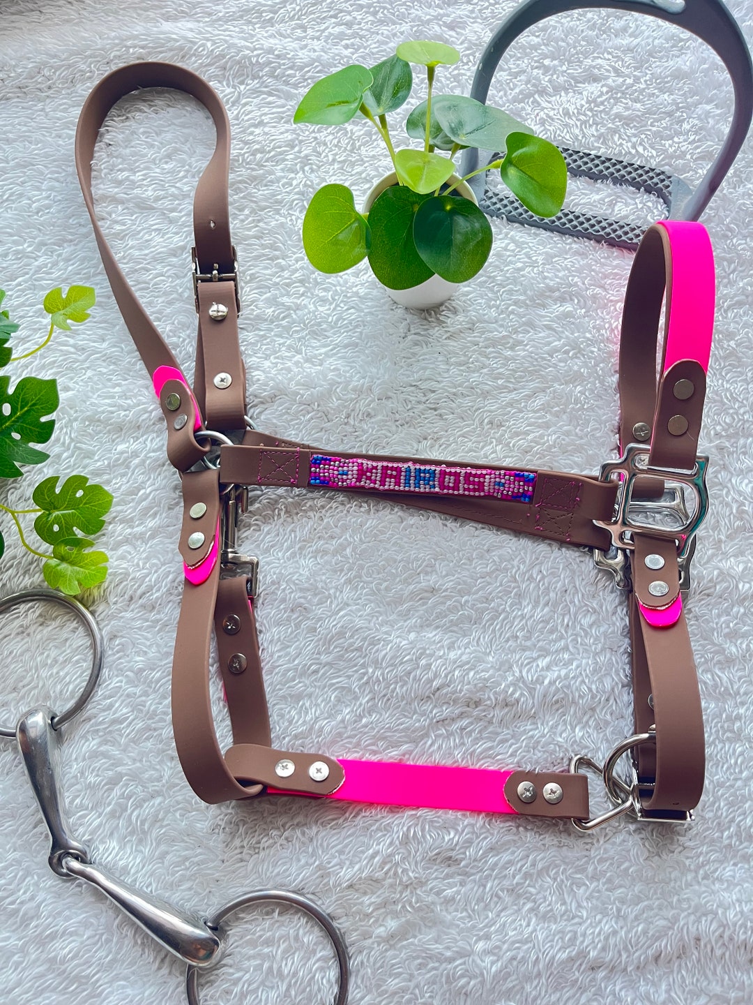 Biothane Horse Halter With Name Etsy Canada