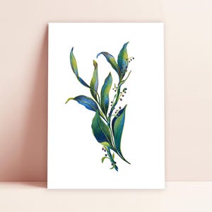 HERBARIO - Ilustración a lápiz de color, póster botánico, impresión de naturaleza para decoración de pared, póster floral