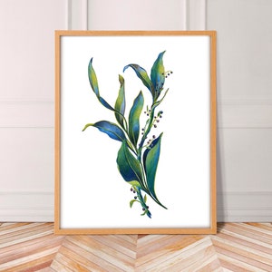 HERBIER - A4-Illustration mit Buntstiften, botanisches Poster, botanisches Poster, Naturdruck für Wanddekoration, Blumenposter