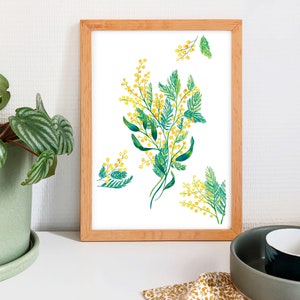 MIMOSA - A4-Buntstiftillustration, Mimosendruck, Blumenstrauß, Blumenposter, Druck für Wanddekoration, Herbariumzeichnung