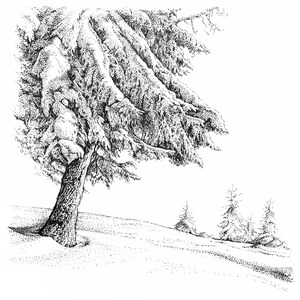 Paysage d’hiver / Impression d’art 8&quot;x8 » de dessin à l’encre original / Nature Art