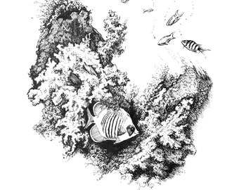 Coral Reef / 8"x8" art print of original ink drawing