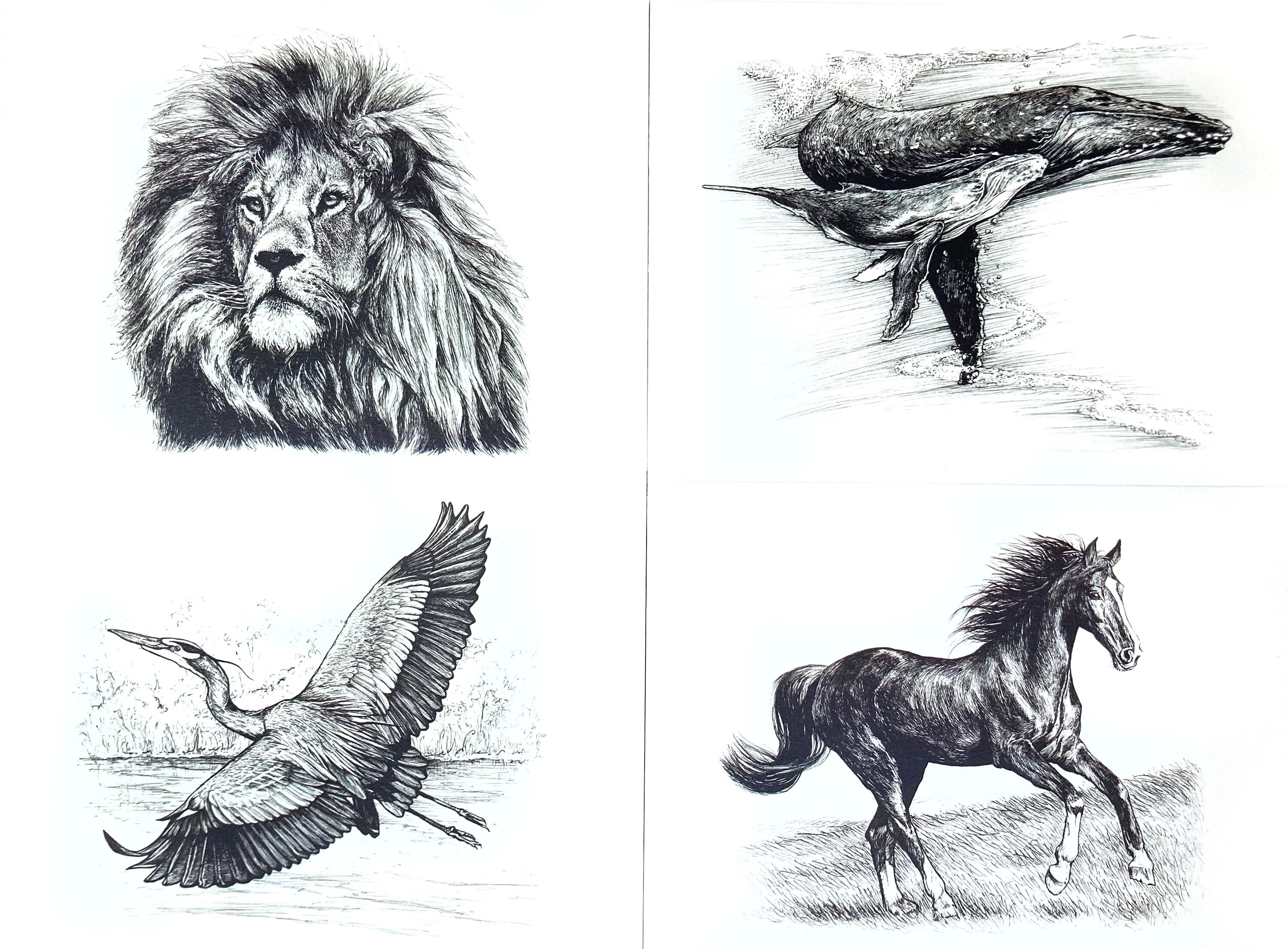 Ink Animals Greeting Card Set | Set of 4 Horizontal Cards With White ...