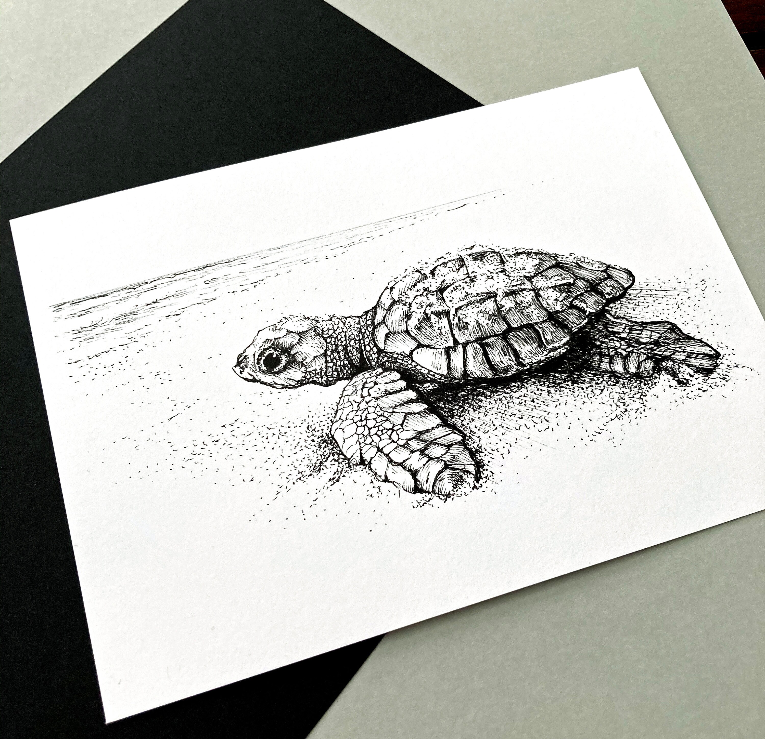Green Sea Turtle - Earth Forever - The Arts & Crafts Press