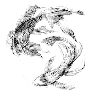 Koi Fish / 8"x8" art print of original ink drawing / Animal Art