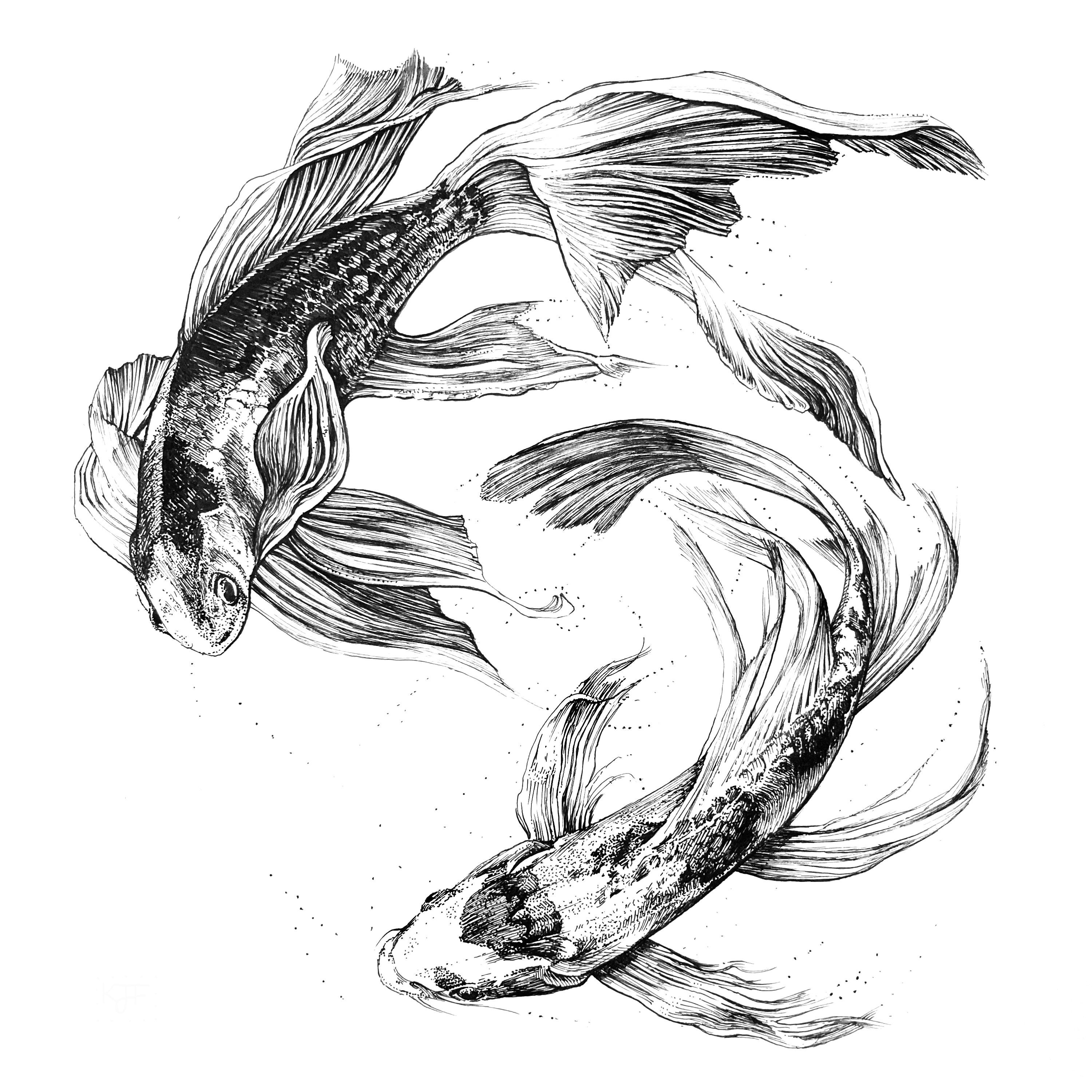 Koi Fish / 8x8 Art Print of Original Ink Drawing / Animal Art 