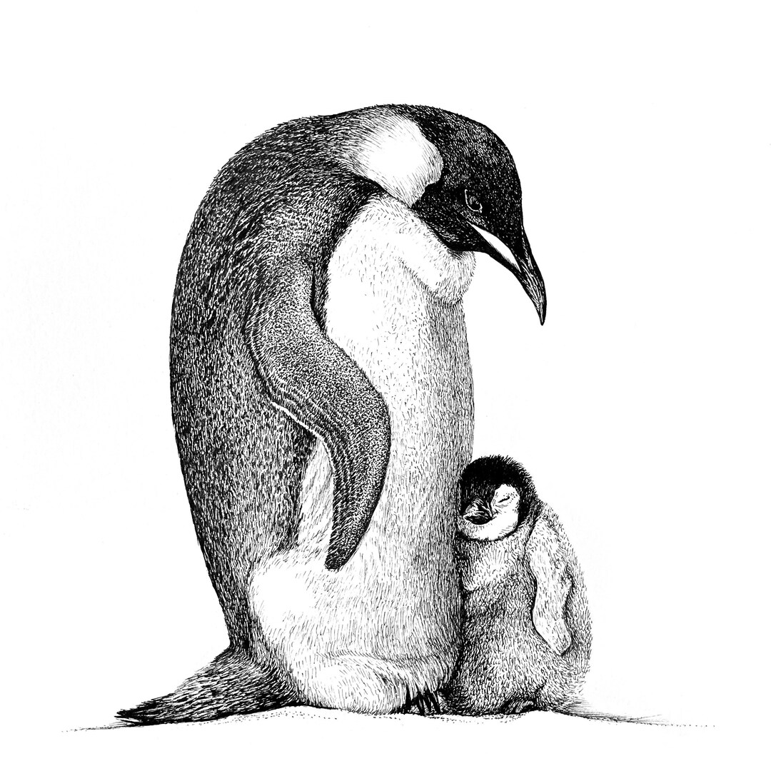 ≪超目玉★12月≫ Emperor Penguin and Baby Chick / 8 絵画