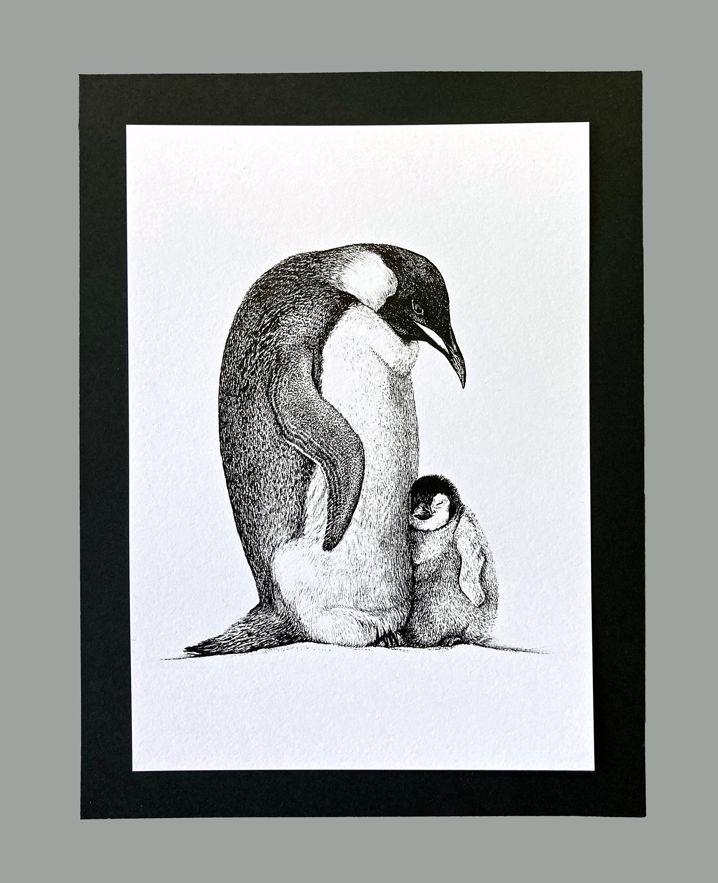 テネシー野郎2 原画penguin art2 Emperor Penguin and Baby Chick / 5
