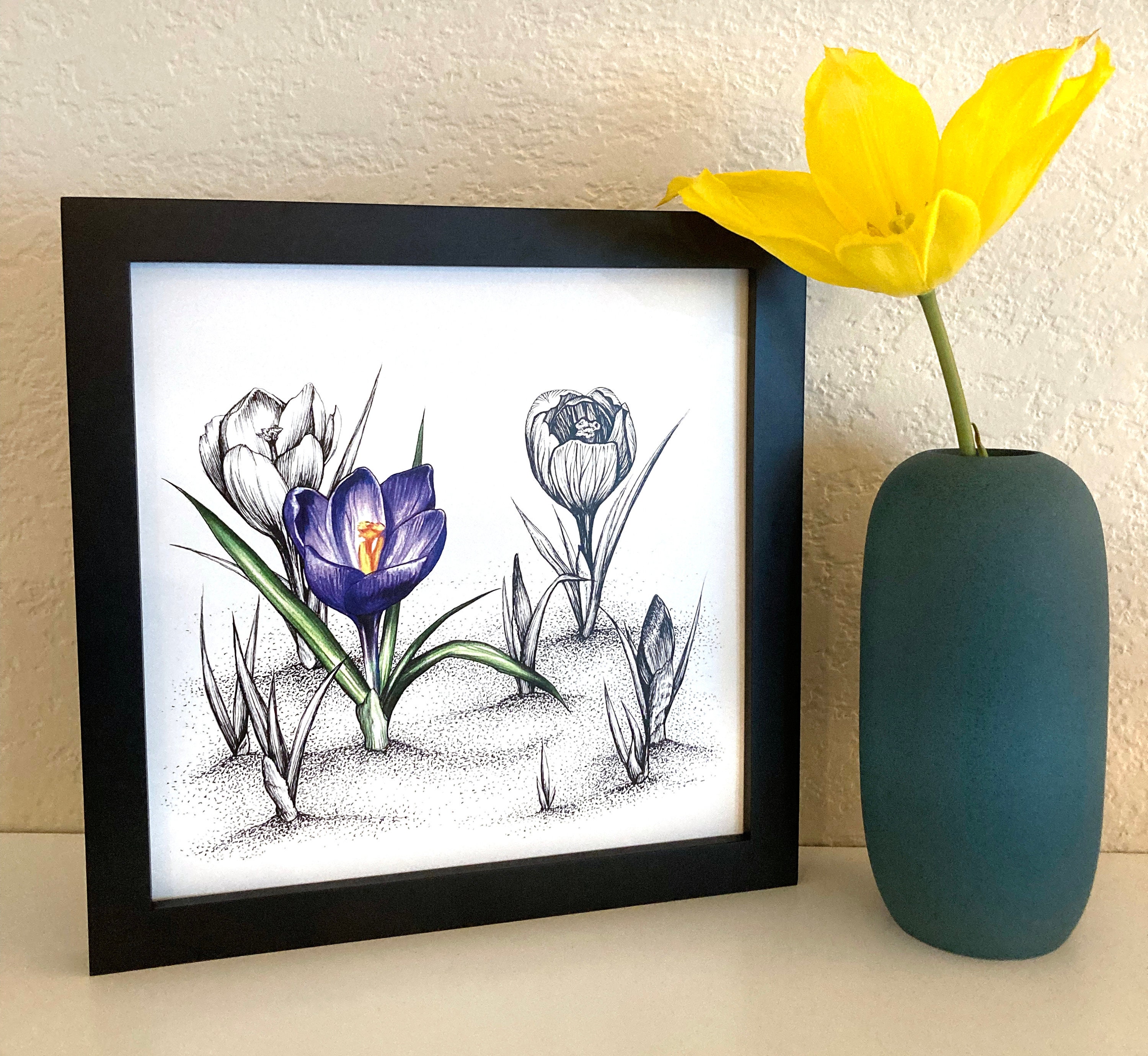 Crocus Flowers / 8