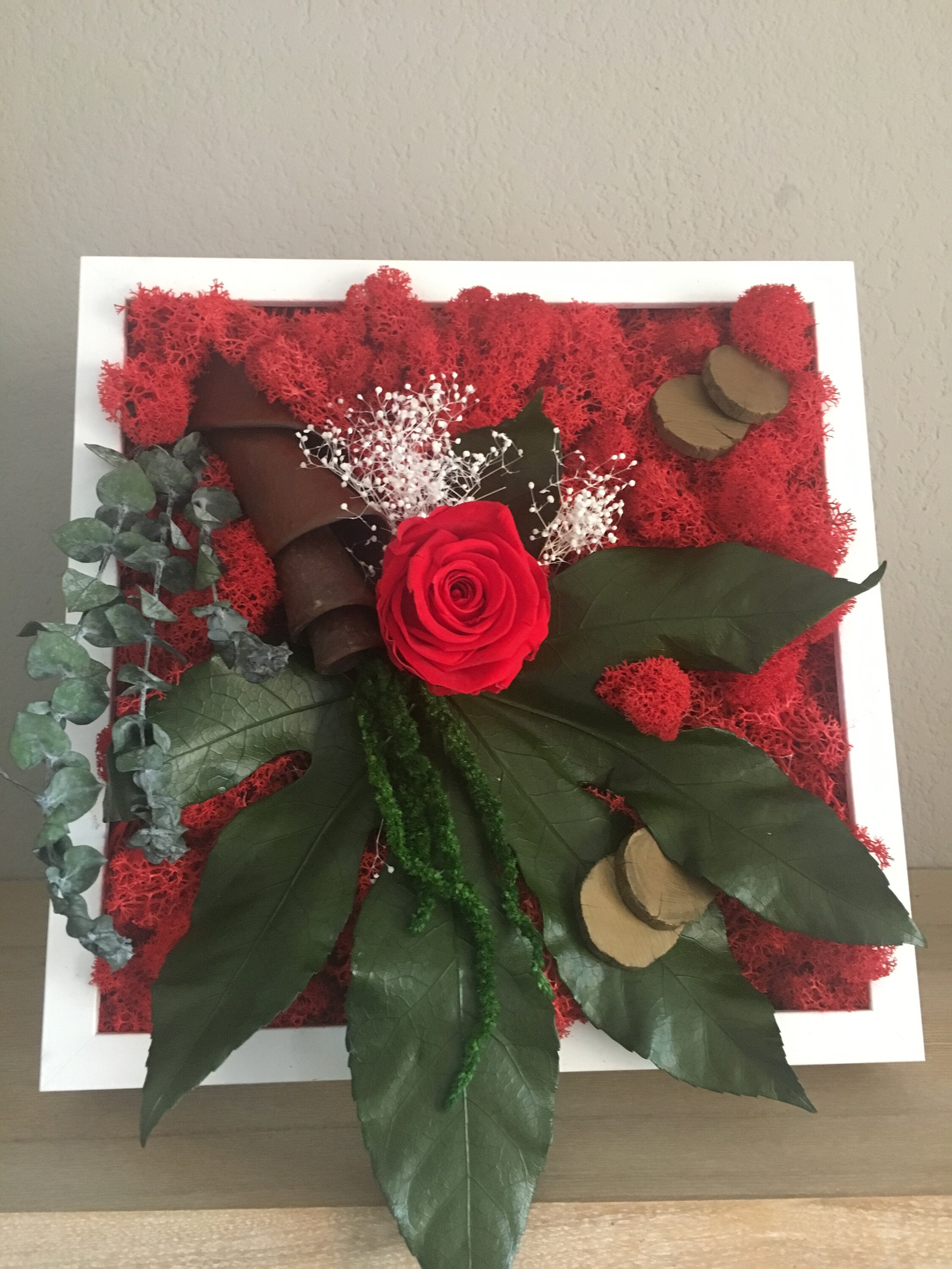 Cadre Végétal Stabilisé Rose de Noël