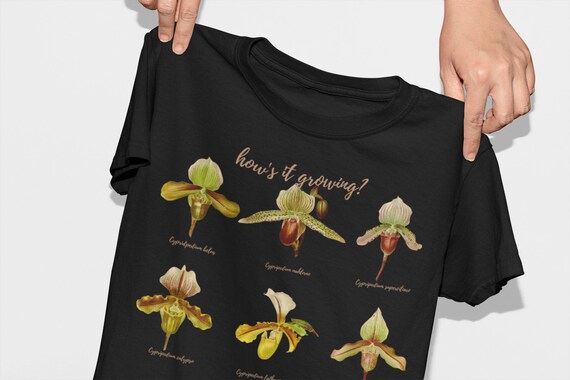 Growing Vintage-inspired Orchid 