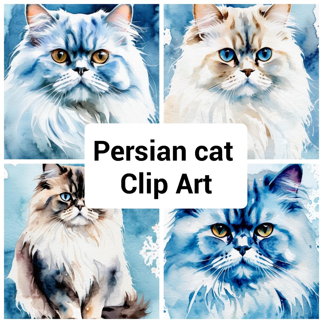 Persian Cat Clip Art PNG Set of 4 - Etsy