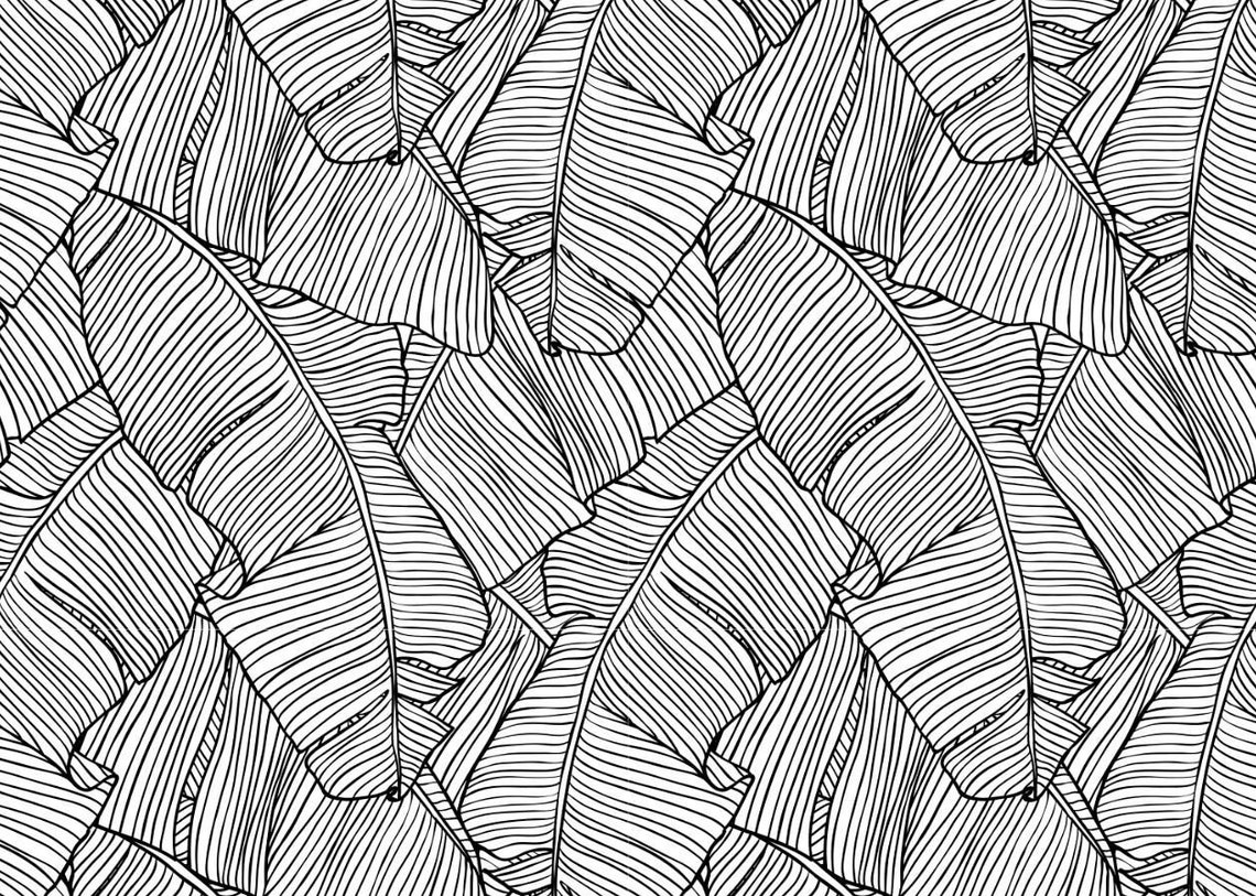 Black and White Banana Leaf Wallpaper Big Banana Leaves Wall Etsy New