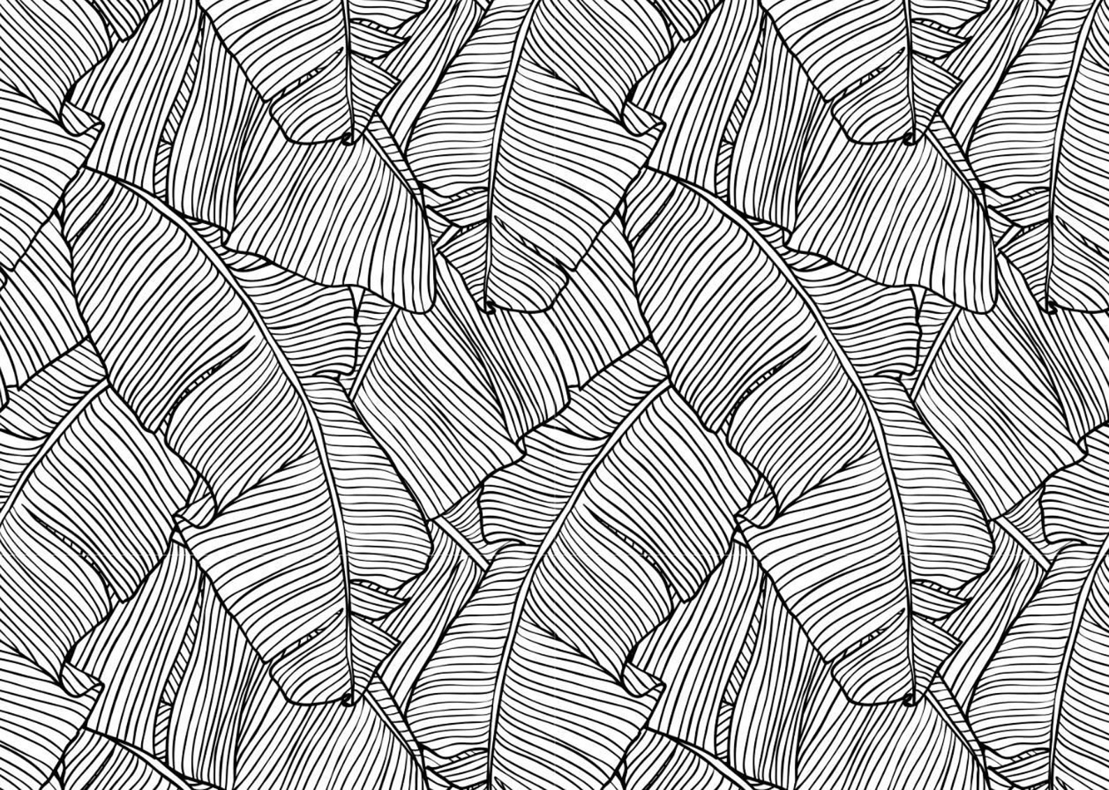 Black and White Banana Leaf Wallpaper Big Banana Leaves Wall Etsy