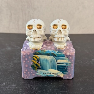May include: A ceramic decorative item featuring two white skull heads with gold accents. The base is lavender with a Niagara Falls scene. The text "NIAGARA FALLS" is visible on the base.