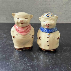 May include: Two ceramic pig-shaped salt and pepper shakers. One pig wears a pink scarf, the other a blue scarf and hat. Both have closed eyes and brown accents. The shakers are beige with brown feet.