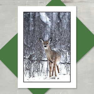 5" X 7" Christmas cards. Set of 10 with envelopes. Deer in Snow- FREE SHIPPING - holiday cards-handmade-Skiing-winter-