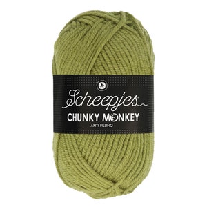 Scheepjes Chunky Monkey  Green Yarn 100g  - 1065- Sage