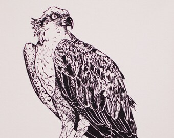 Osprey -- Hand-pulled Screenprint