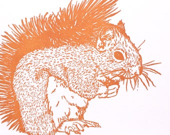 Squirrel -- Hand-pulled relief print -- Eastern Grey Squirrel