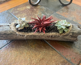 Christmas Gifts-Home Decor-Holiday Gifts-House Warming Gifts-Driftwood Gifts-Gifts for Mom-Driftwood Decor-Driftwood Planter-Gifts for Her.