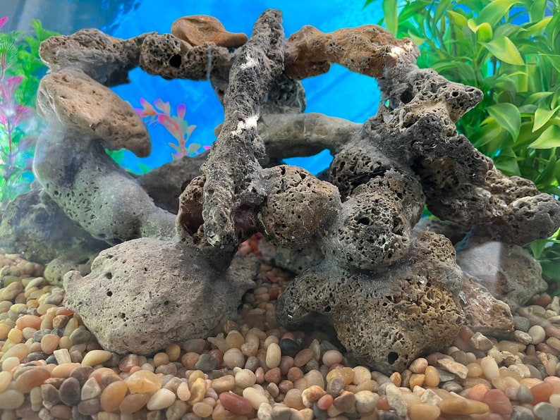 Aquarium Suppliesfish Tank Decorfish Tank Suppliespet Etsy