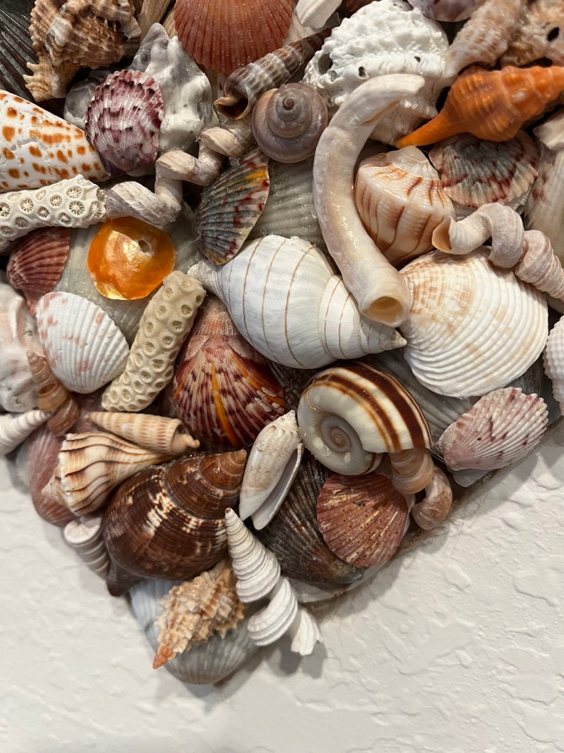 Holiday Gift Ideas-Wall Art-Heart Shell Art-Heart Of Shells-Beach Decor-Home Decor-Bathroom Decor-Kid's Bedroom-House Warmer-Valentines Day image 8