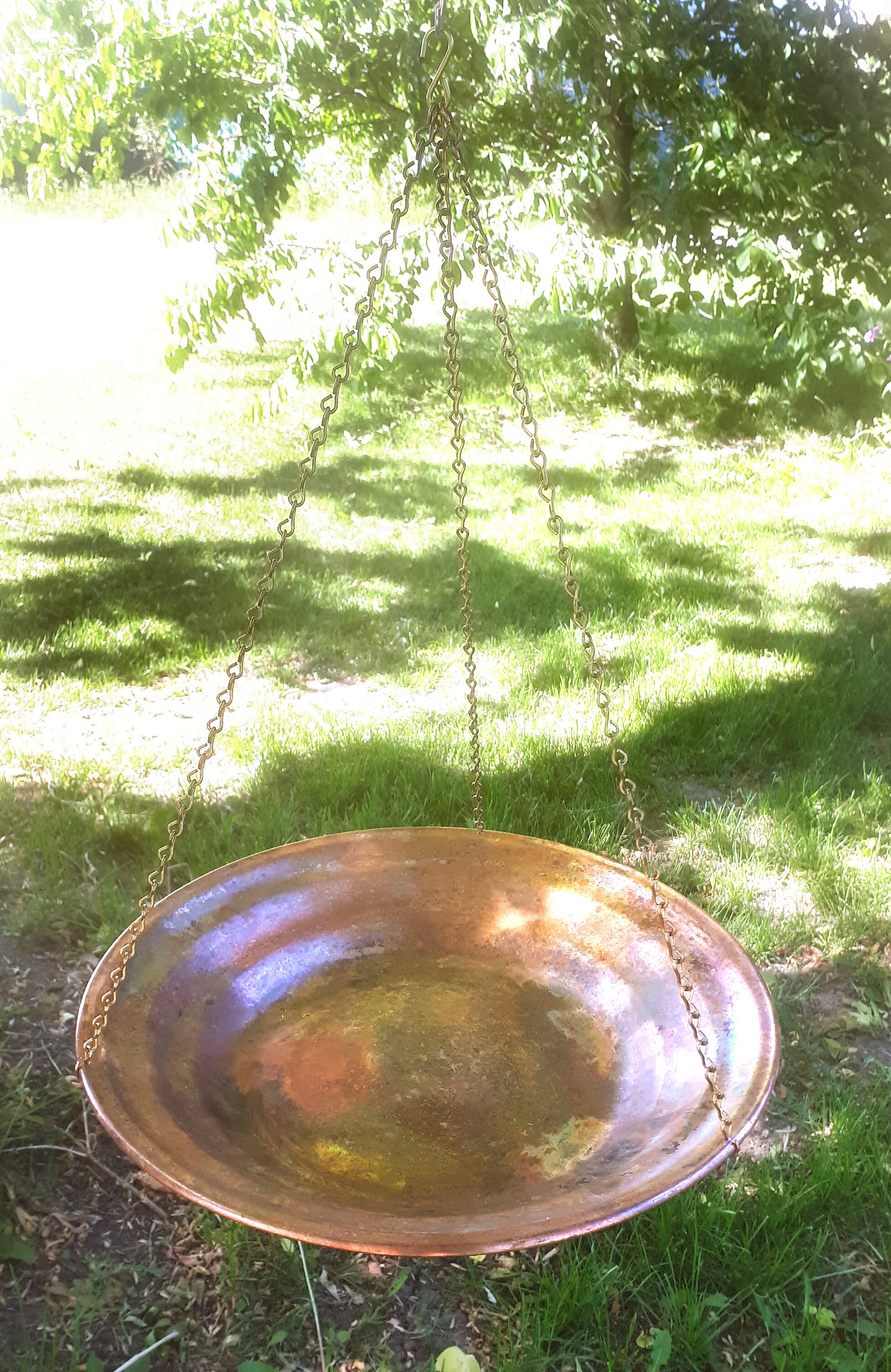 Bird bath hanging Etsy