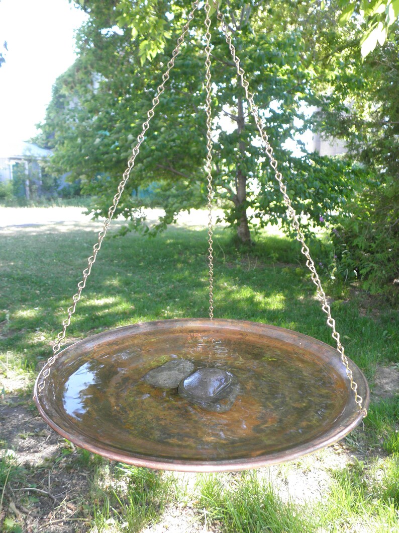 Hanging Bird Bath Etsy