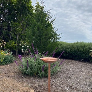May include: A copper bird bath on a tall, copper-colored metal stand. The bird bath is in a garden setting with purple flowers and green trees in the background.