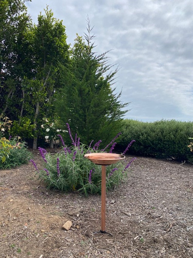 May include: A copper bird bath on a tall, copper-colored metal stand. The bird bath is in a garden setting with purple flowers and green trees in the background.