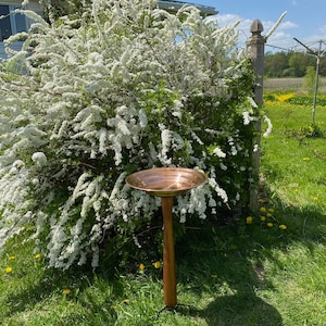 May include: A copper bird bath on a wooden stand with a three-legged base. The bird bath is in a grassy area with a bush of white flowers in the background.
