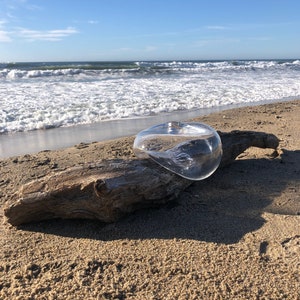 Sea Bubble #2 ~ Blown Glass on Driftwood Sculpture