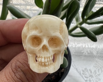 Skeletschedelring, uniseks ring, uit been gesneden schedelring (R-11)