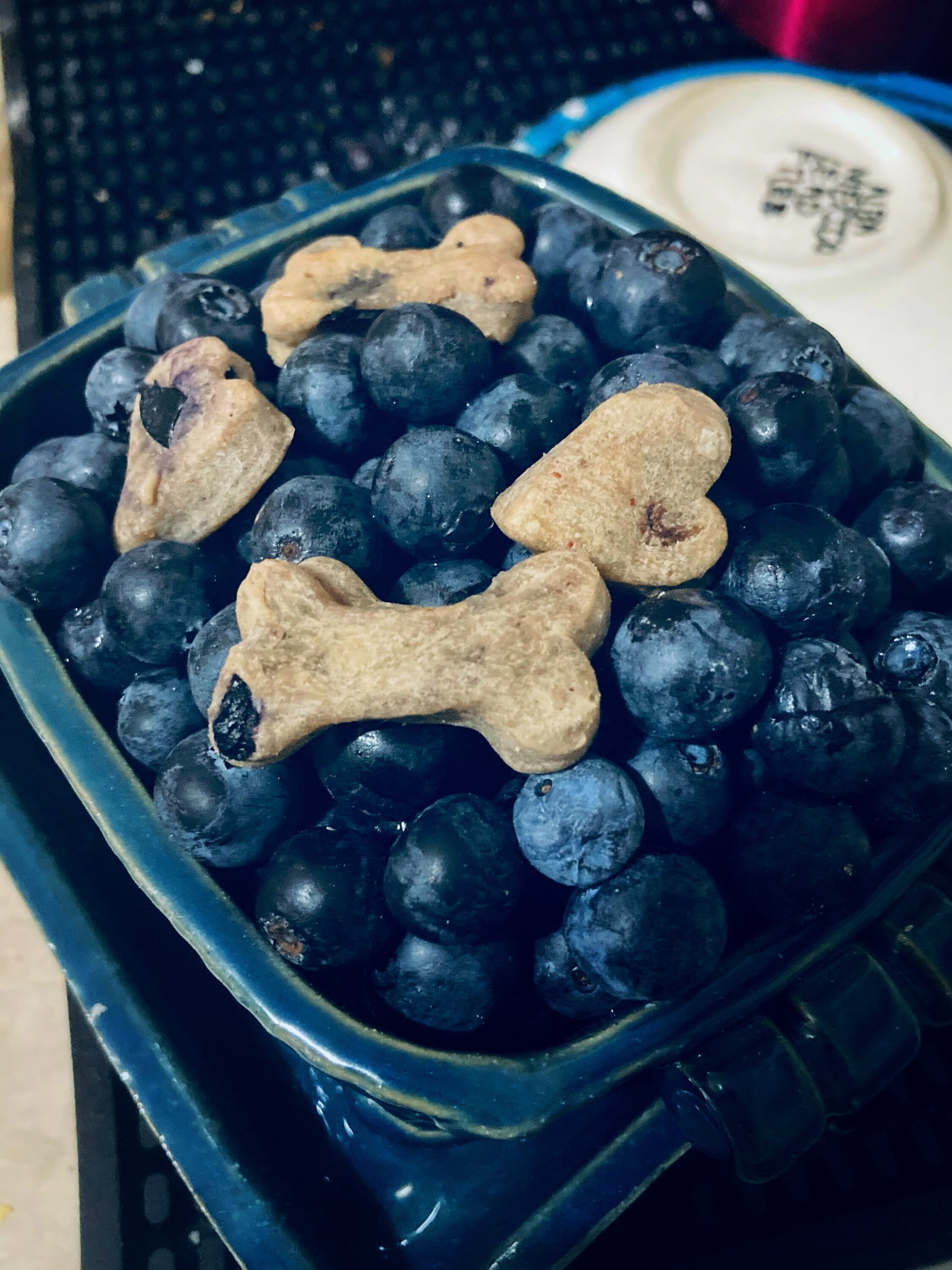 8oz Blueberry dog treats Etsy