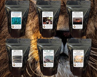 African Elite Variety 6 Pack