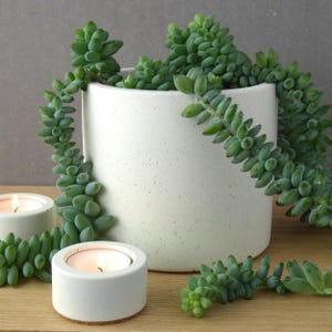 May include: A white ceramic planter with a speckled finish, filled with a green succulent plant. Two small white ceramic candle holders are on a wooden surface.