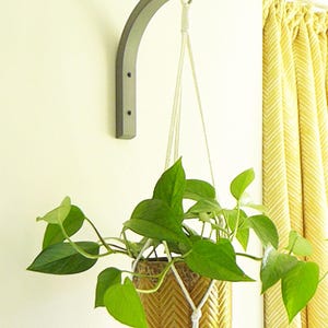 Colgador de madera para plantas: Gancho de pared minimalista para plantas de interior, regalo ideal para amantes de las plantas. imagen 7