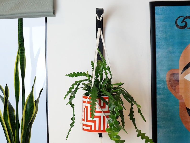 Puede incluir: Un macetero colgante con un cord&oacute;n de macram&eacute; blanco y un gancho de metal negro. El macetero es naranja y blanco con un patr&oacute;n geom&eacute;trico. Una planta verde est&aacute; creciendo en el macetero.
