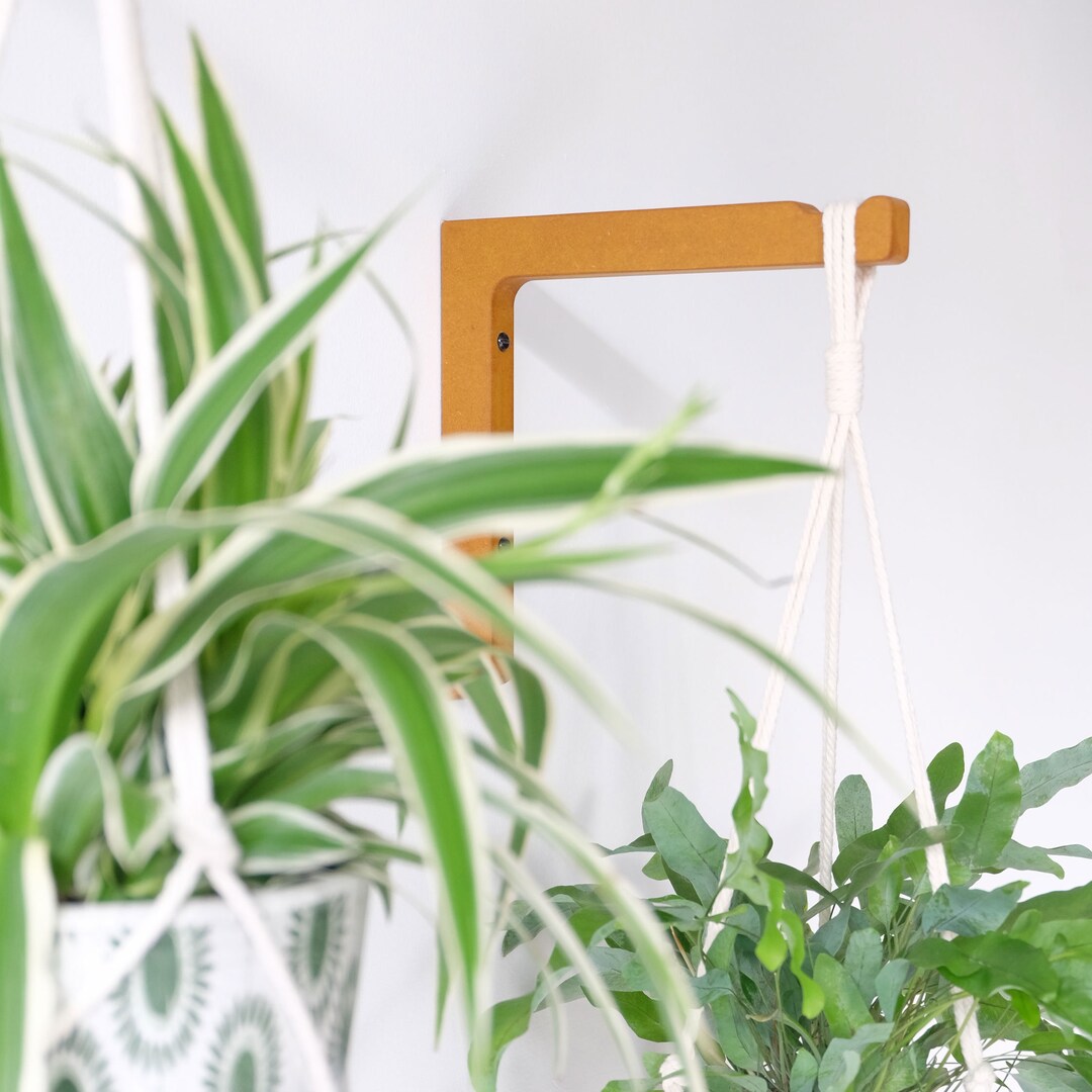 Indoor Plant Hook Wall Mounted Wooden Bracket for Macrame - Etsy