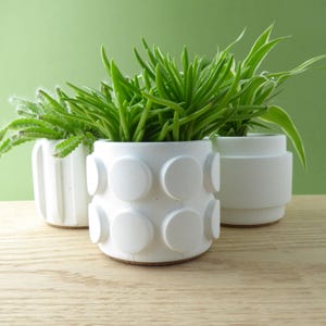 May include: Three white ceramic plant pots with green plants. The central pot has a pattern of raised circles. The other two pots have vertical lines and a stepped design. The plants have long, thin, and spiky green leaves.
