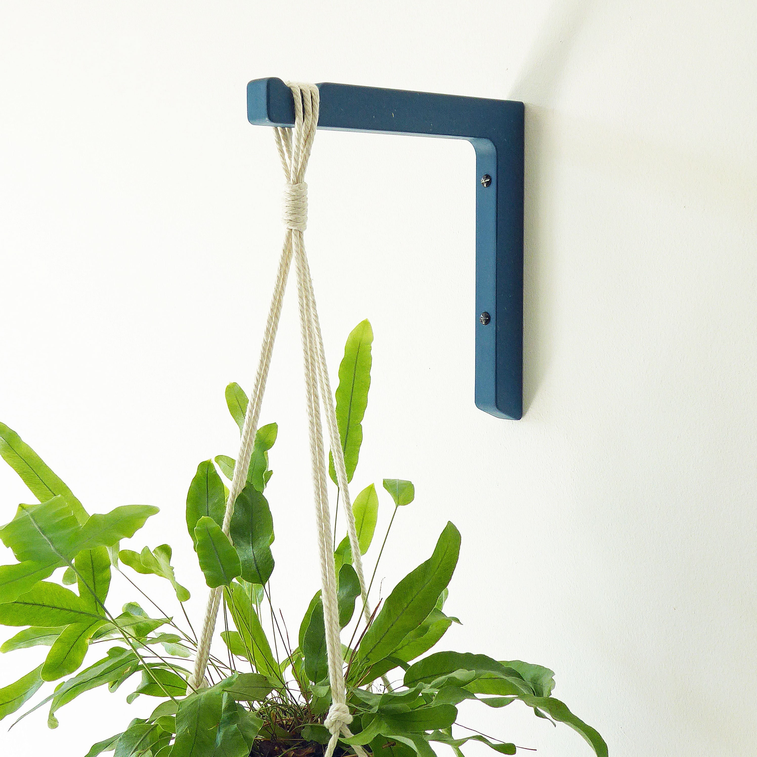 Wall Hook for Hanging Plants, Wood Plant Hanger Indoor or Outdoor, Wall  Plant Holder, Plants Hooks, Wooden Plant Hook, Plants Hanger 
